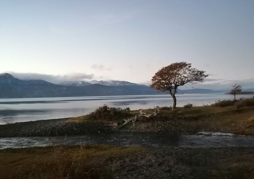 Paisaje patagónico con suelo mojado y montañas nevadas al fondo Paisaje patagónico con suelo mojado y montañas nevadas al fondo