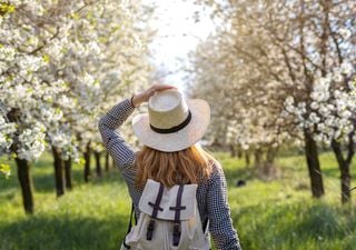 Pronóstico primavera: ojo con las heladas e incendios forestales