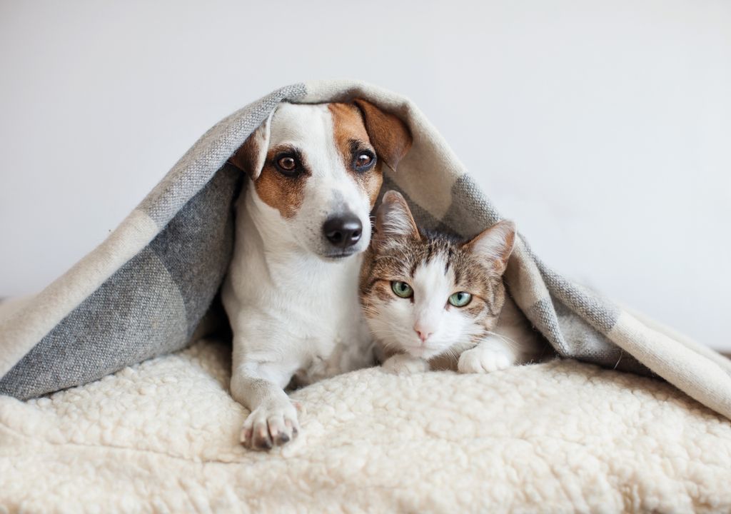 Frío fin de semana mayo Frío fin de semana mayo