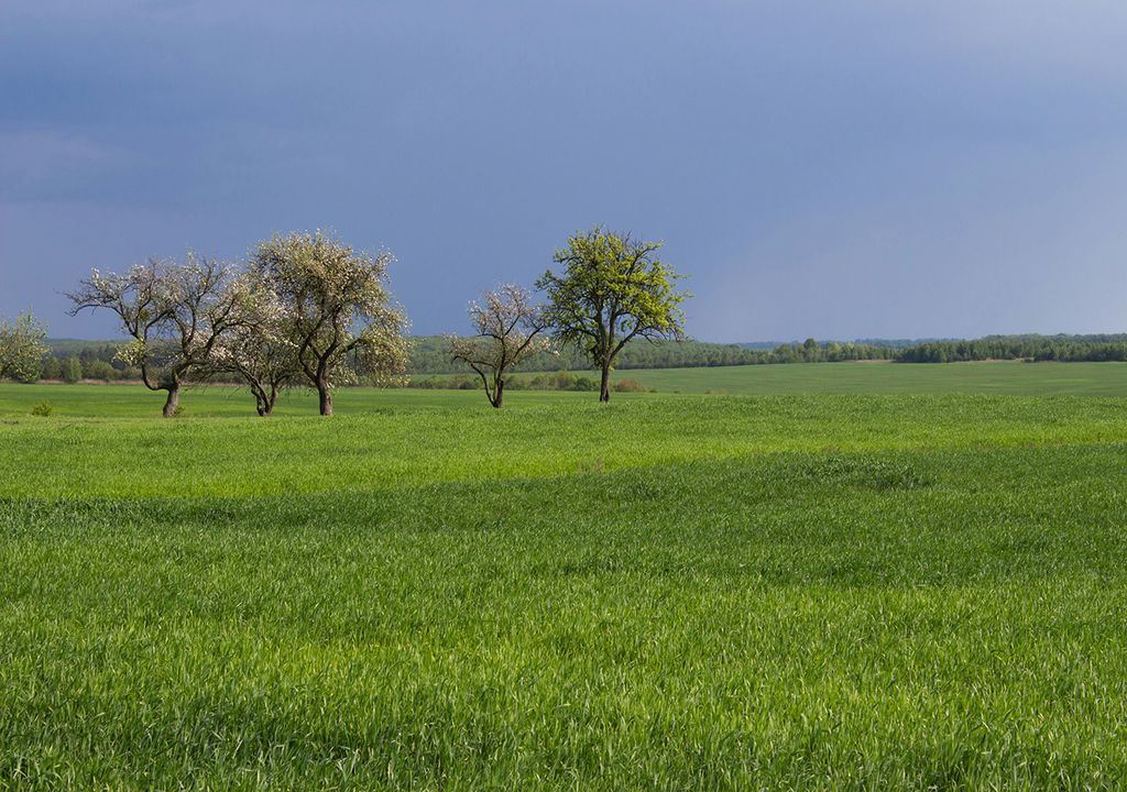 Lluvia, Tormenta, Primavera, Heladas, Calor, Argentina