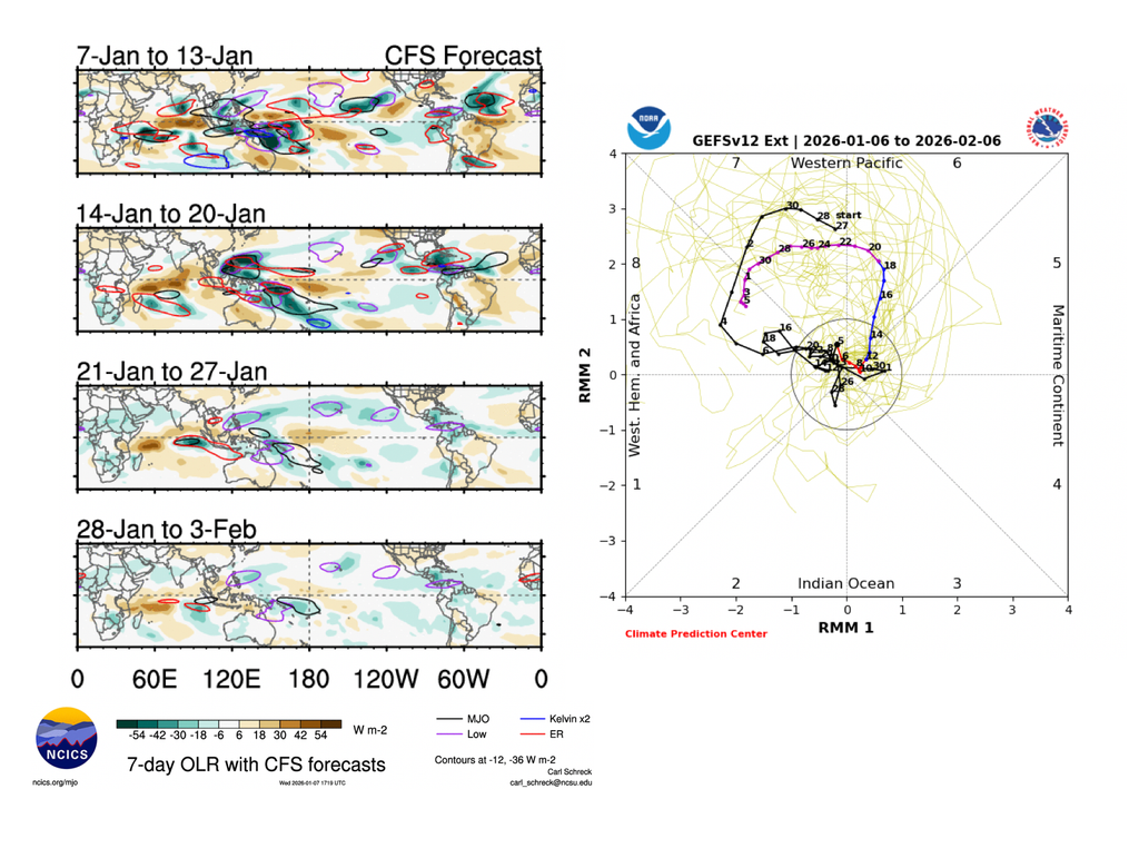 MJO pronóstico