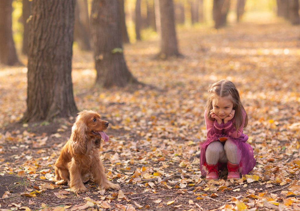 Niña y perro en un día de otoño