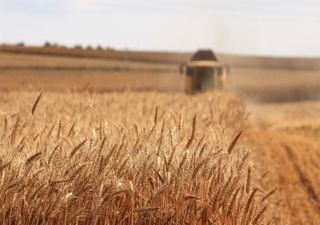 Pronóstico poco alentador para el sector agropecuario