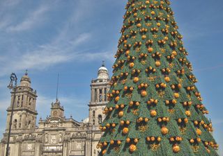 Pronóstico preliminar para esta Navidad