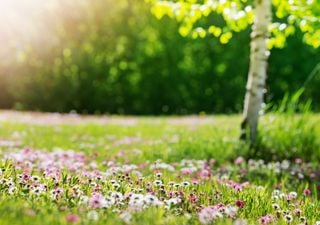 Pronóstico: la primavera pone primera este fin de semana