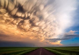 Pronóstico: semana primaveral en Argentina, con lluvias a la vista