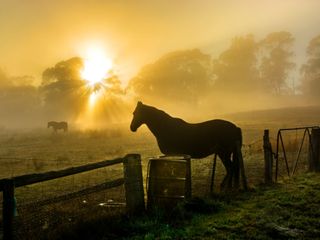 Pronóstico semanal: se instala el otoño en Argentina