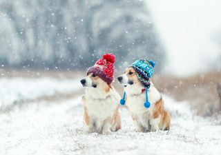 ¡A preparar abrigos! Frío y probables nevadas este finde en Argentina