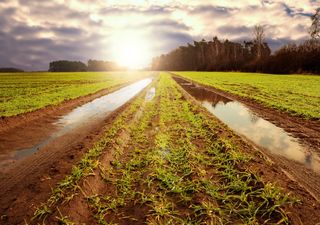 Tras las lluvias y el frío, el tiempo se tornará agradable en Argentina