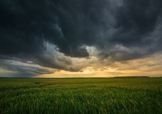 Luego de las importantes lluvias en Argentina, ¿cuál es el pronóstico para la última semana de octubre?