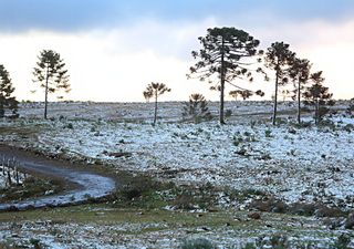 Próxima frente fria intensa já tem data para acontecer; confira estados que serão afetados