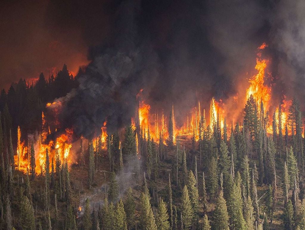 Foto 1: La prevención de incendios forestales es uno de los cometidos que persigue el proyecto europeo ANYWHERE. La prevención de incendios forestales es uno de los cometidos que persigue el proyecto europeo ANYWHERE. Crédito: Anywhere.