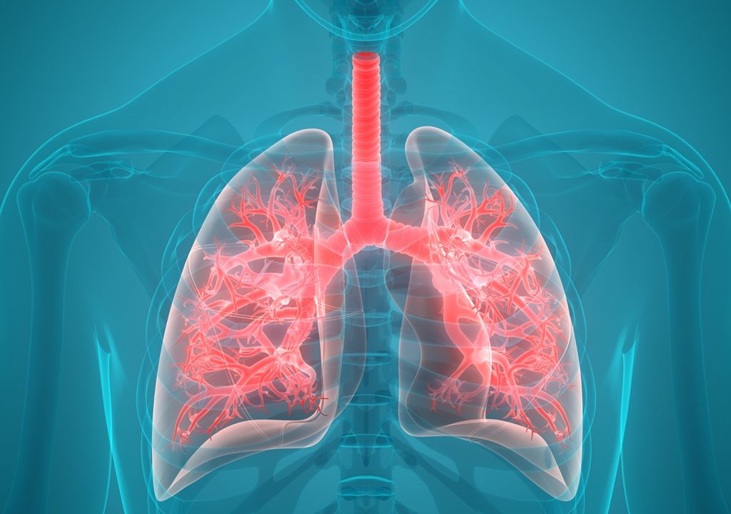 pulmones edad biológica salud envejecimiento