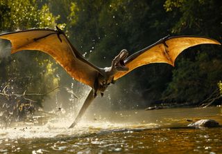 Pterossauro pré-histórico descolava com método semelhante ao dos morcegos, revela estudo