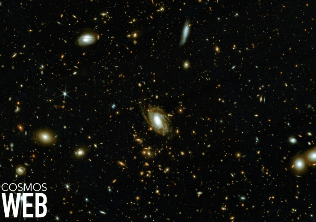 galaxias galaxias