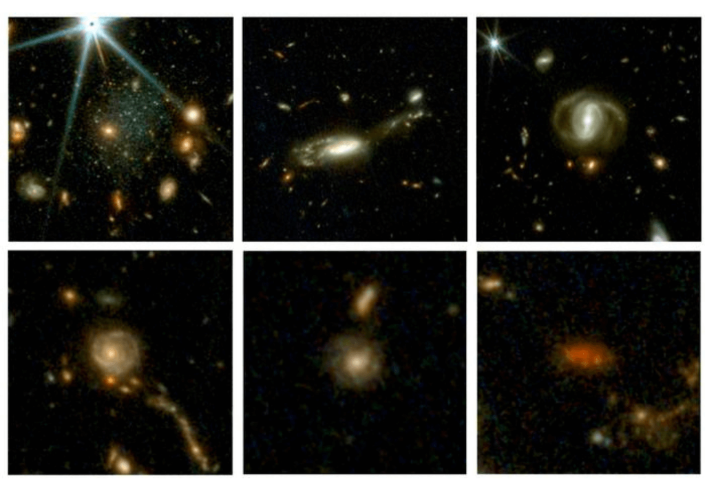 galaxias galaxias