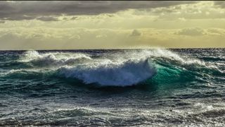 ¿Pueden los océanos cambiar el rumbo de la crisis climática?