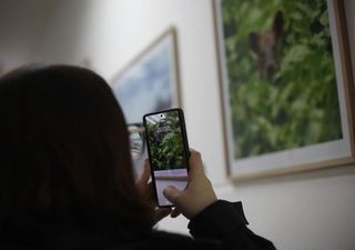 Puerto Aysén transforma su centro de salud con imágenes de la naturaleza para sanar cuerpo y mente