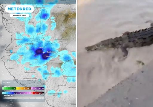&iexcl;Alerta en Puerto Vallarta! Lluvias traen cocodrilos a colonias y dejan calles inundadas