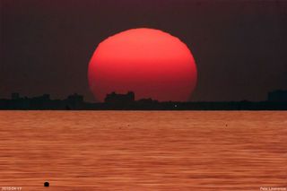 Puesta de un Sol rojo sobre un mar de oro 