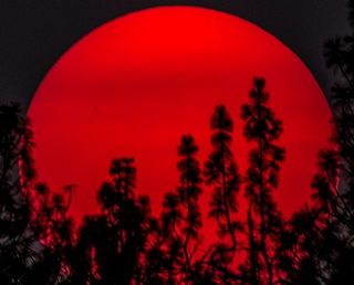 Puesta del sol ardiente