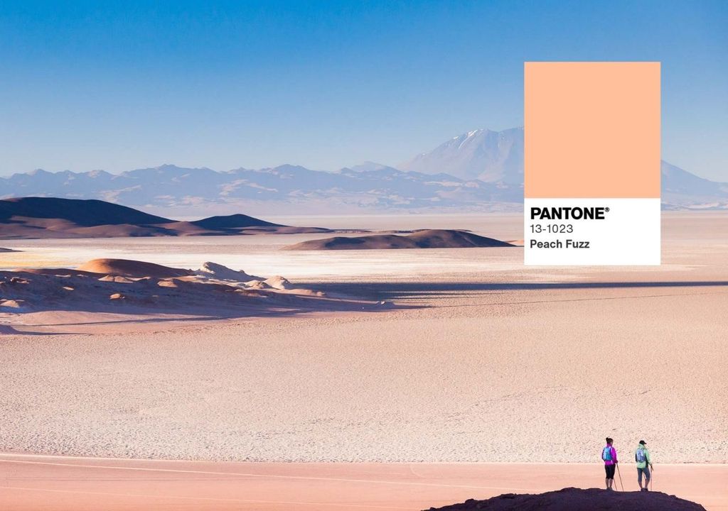 atractivos naturales para conocer en la Puna argentina atractivos naturales para conocer en la Puna argentina