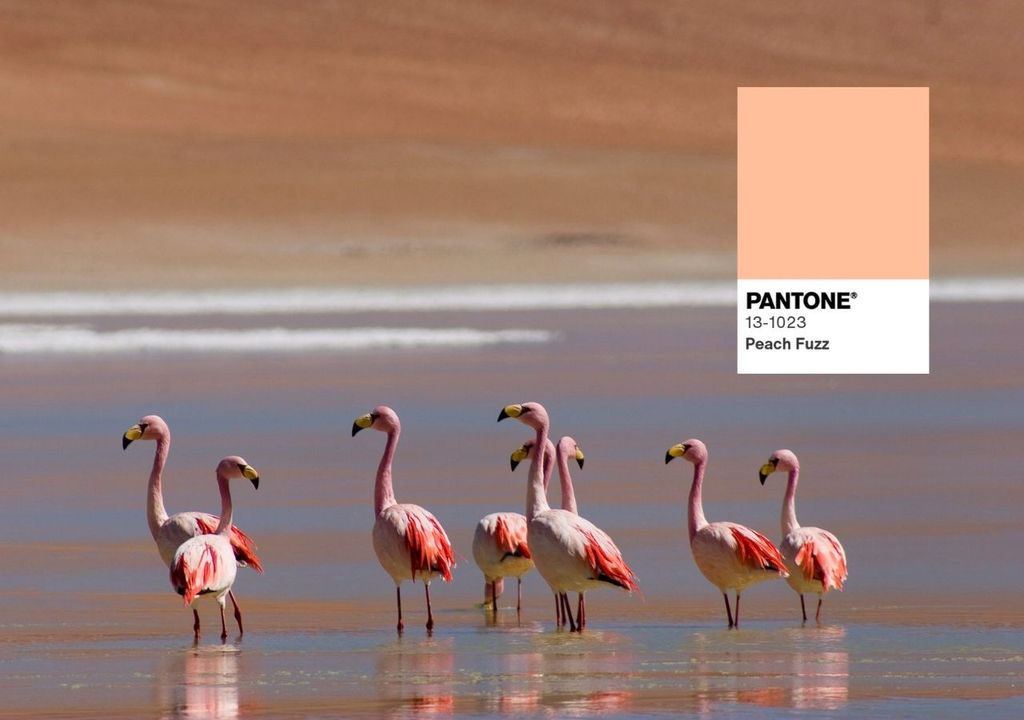 atractivos naturales para conocer de la Puna argentina atractivos naturales para conocer de la Puna argentina