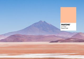 La región de Argentina en la que es posible fotografiar de forma natural el color del año 2024