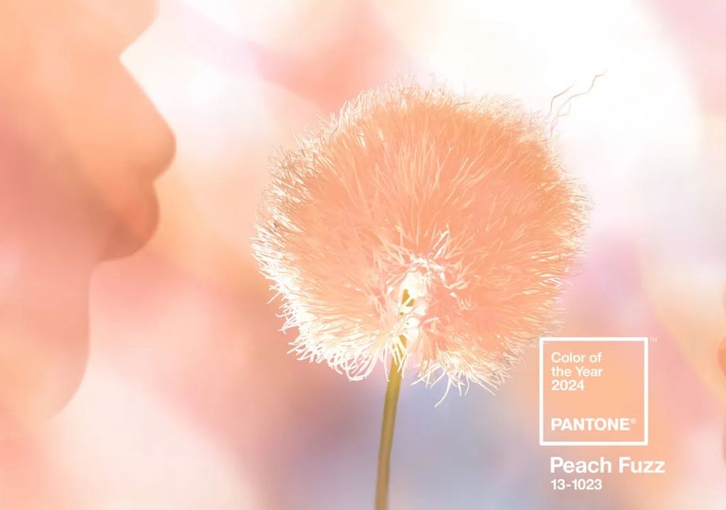 color del año 2024 pantone color del año 2024 pantone
