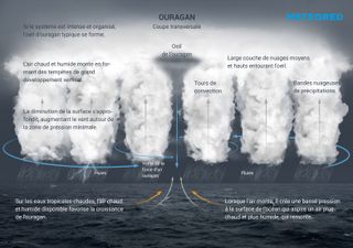 Qu'est-ce qu'un ouragan, comment se forme-t-il et quelles catégories ?