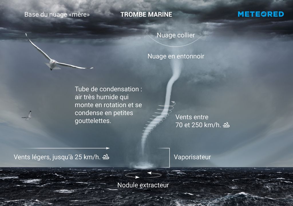 Descriptif des parties et principales caractéristiques d'une trombe marine. Descriptif des parties et principales caractéristiques d'une trombe marine.