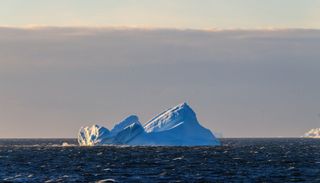 Qu'y-a-t'il sur cette &icirc;le r&eacute;cemment d&eacute;couverte par hasard par les scientifiques ?