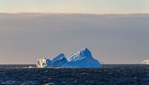 Qu'y-a-t'il sur cette &icirc;le r&eacute;cemment d&eacute;couverte par hasard par les scientifiques ?