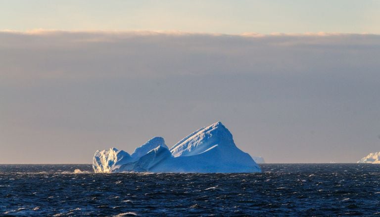 &iquest;Qu&eacute; hay en esta isla que los cient&iacute;ficos descubrieron recientemente por casualidad?