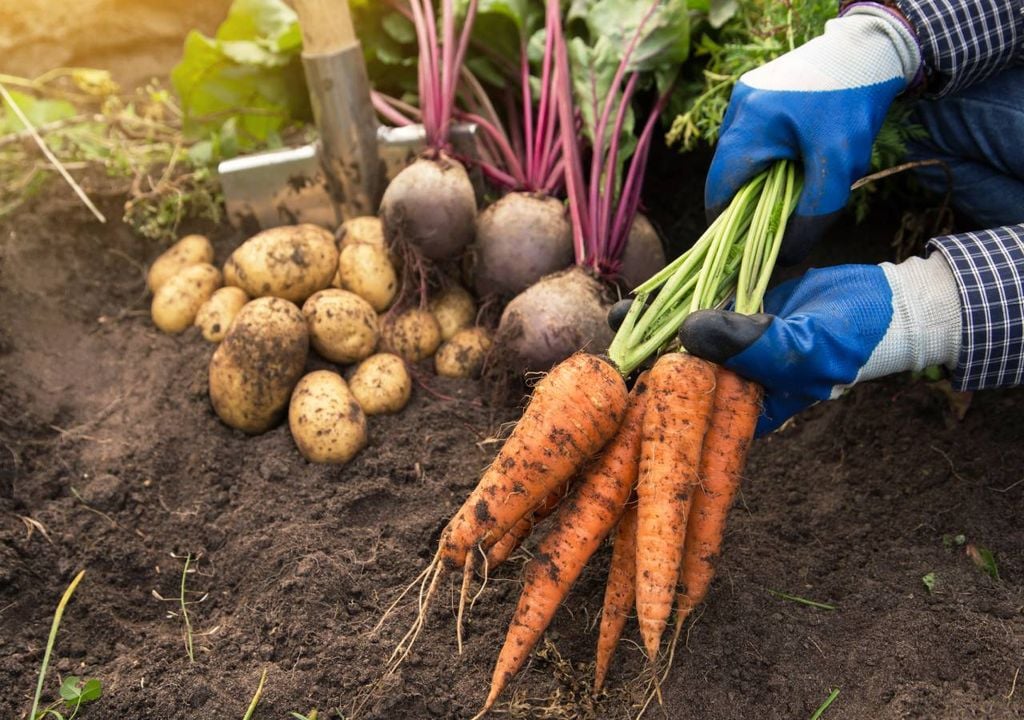 produtos agrícolas produtos agrícolas