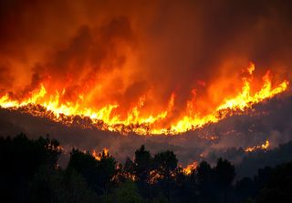 Qual é a razão para o fumo dos incêndios florestais ser tão tóxico? Especialistas de Stanford explicam