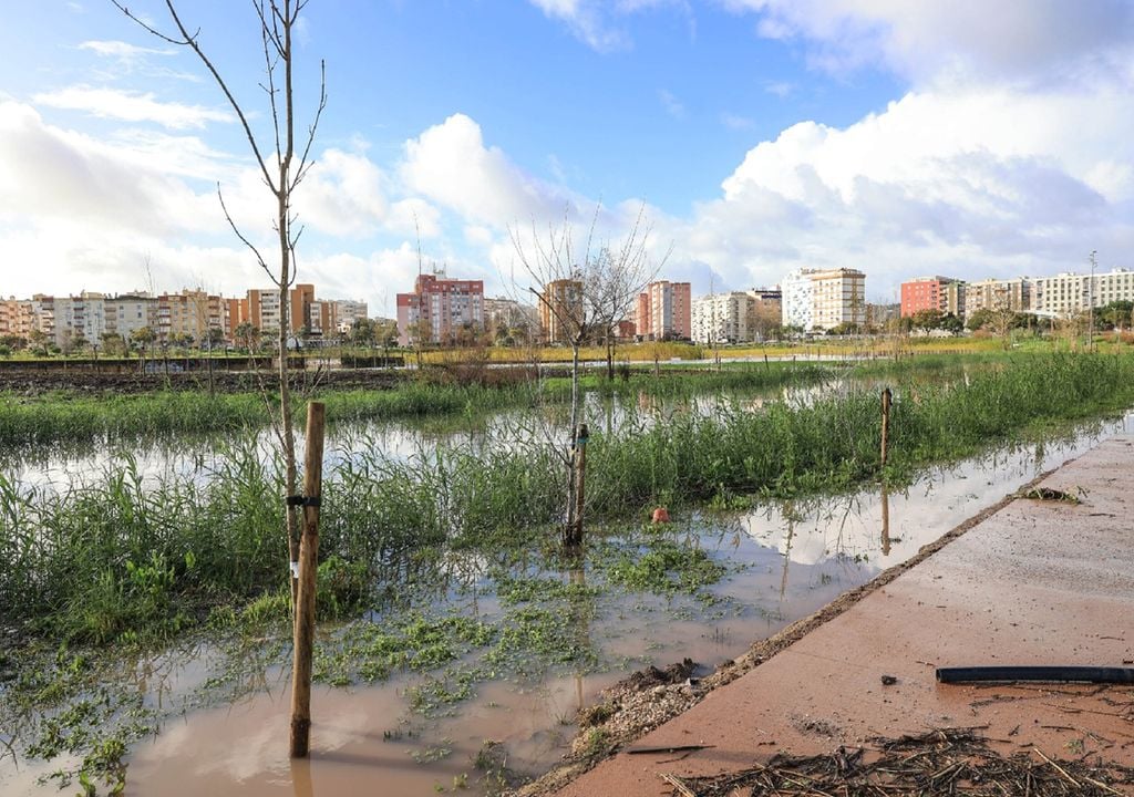 Parque Urbano da Várzea foi inaugurado em 2018, mas só agora, com as recentes tempestades, foi verdadeiramente posto à prova. Foto: Município de Setúbal