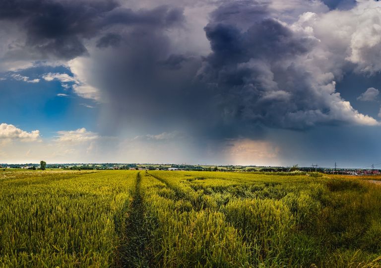 clima; março; La Niña clima; março; La Niña