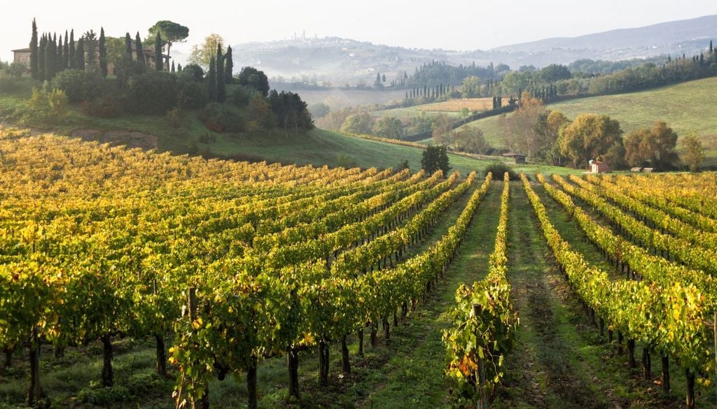 Toscana borghi più belli I vigneti della Toscana, dove nascono alcuni dei vini più apprezzati d'Italia
