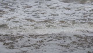 A espuma do mar n&atilde;o &eacute; apenas um fen&oacute;meno natural, mas tamb&eacute;m um alerta ambiental da 'sa&uacute;de' das praias e dos oceanos