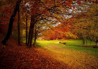 Equinozio, quando inizia l’autunno?