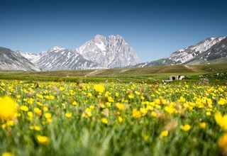 Quando inizia la primavera in Italia? Giorno ed ora dell'equinozio, che porterà giornate più lunghe