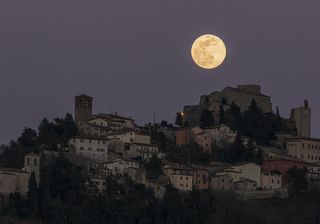 Quando la Luna piena nel novembre del 2020?