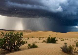 Quando si possono sviluppare violenti temporali nel cuore del Sahara?