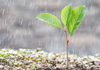 Quando volta a chover em toda a Região Sul?