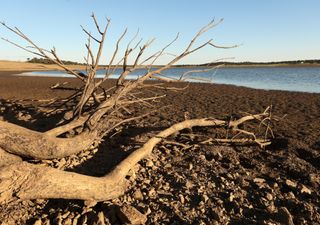 When will it rain again?  The specter of drought threatens Portugal