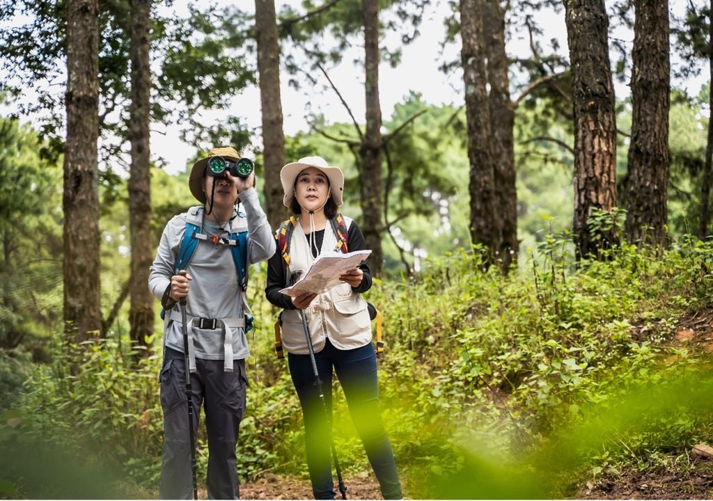 Ao longo de quase duas décadas, cerca de 150 voluntários já participaram nos censos da Sociedade Portuguesa para o Estudo das Aves. Foto: Adobe Stock