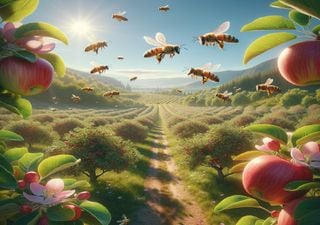 Quanto vale o trabalho que os polinizadores fazem pela agricultura em Portugal?