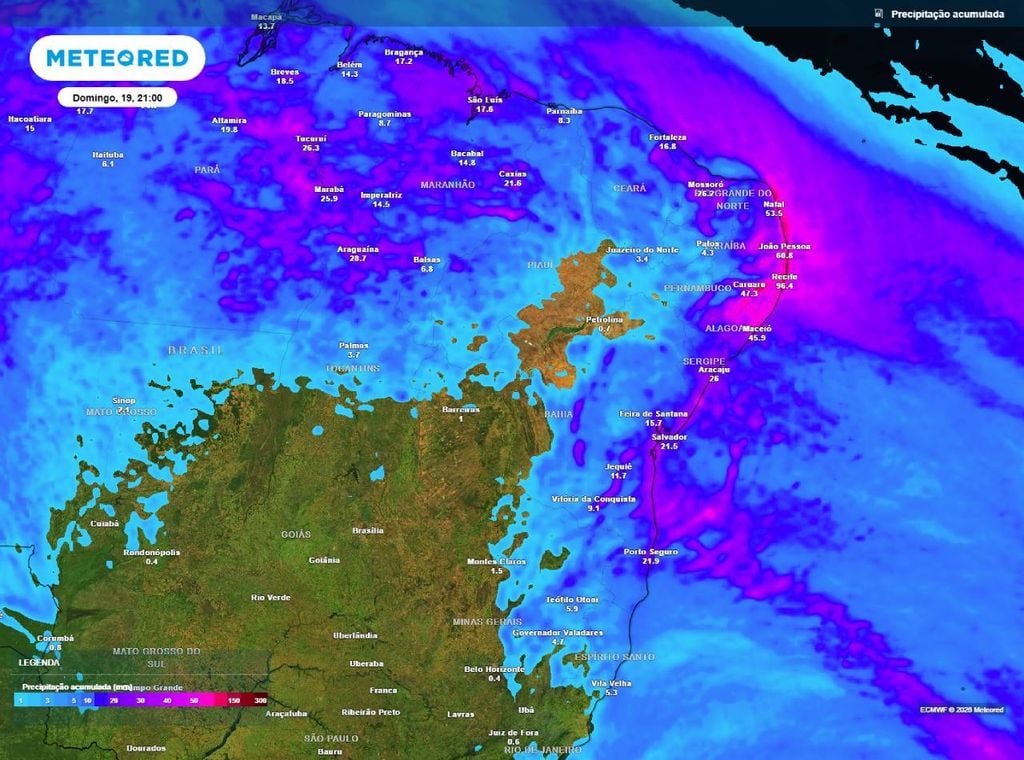 Previsão da precipitação acumulada (em mm) entre hoje (14) e a noite (21h) do domingo (19), segundo o modelo europeu ECMWF.