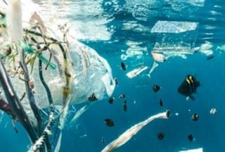 Quase metade dos ambientes aquáticos do planeta está gravemente contaminada, revela estudo brasileiro